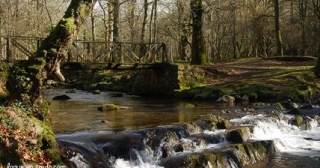 English camp in nature 